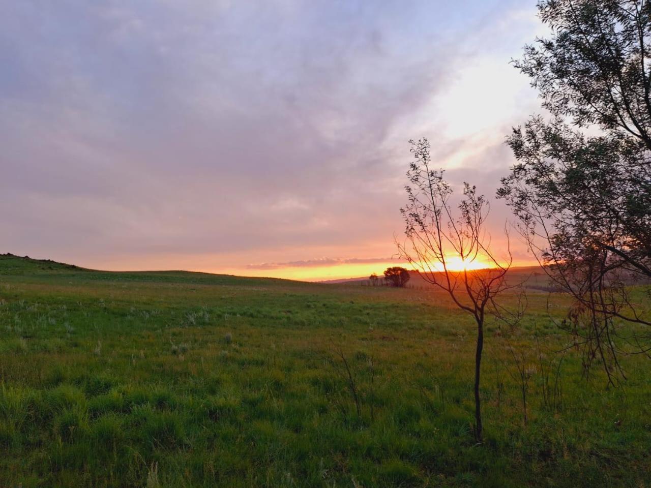 Strathwold Machadodorp